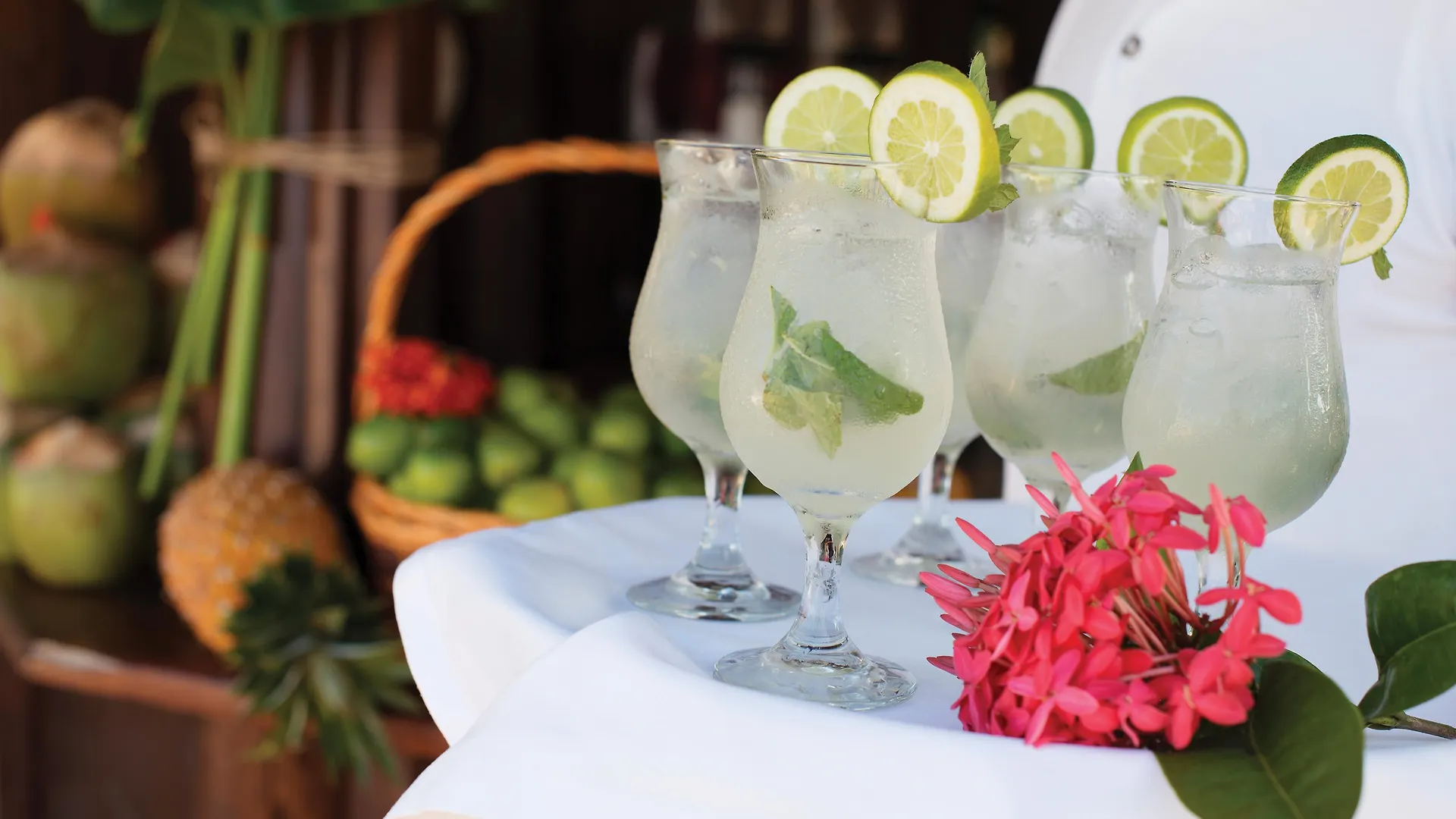 Hotel Excellence El Carmen (Adults Only) Punta Cana