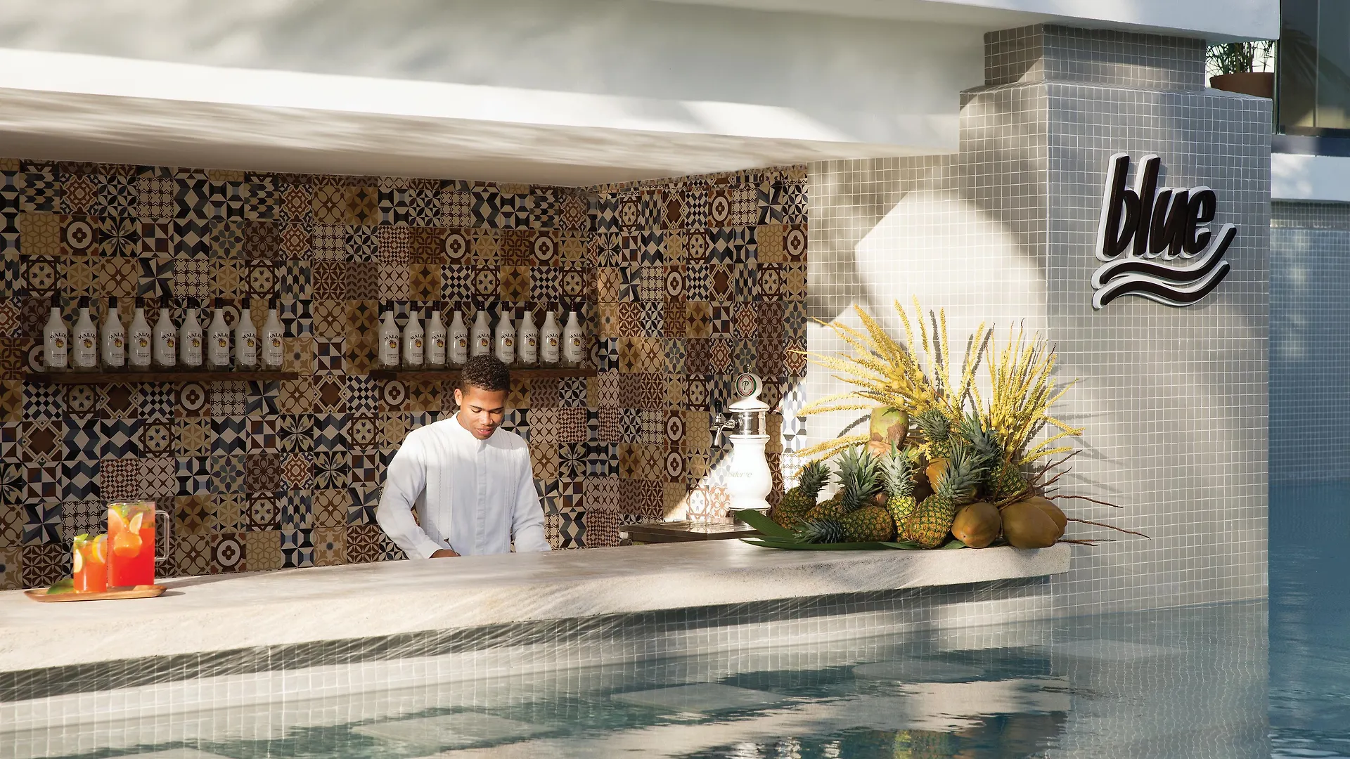 Hotel Excellence El Carmen (Adults Only) Punta Cana