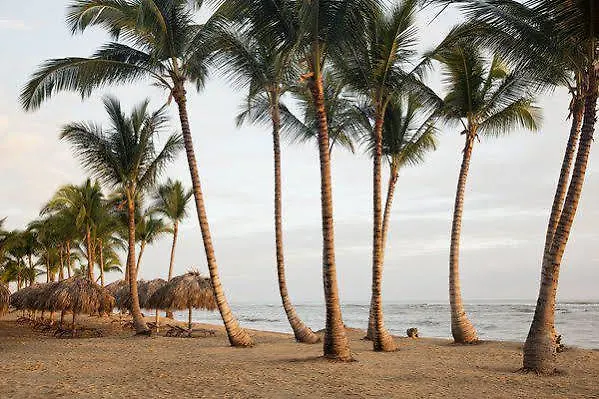 Hotel Excellence El Carmen (Adults Only) Punta Cana